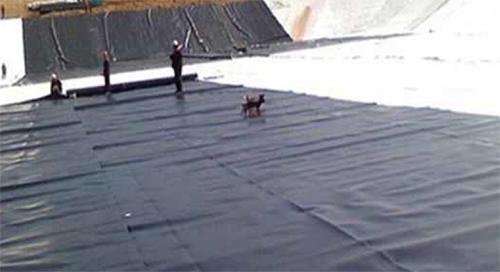 Geomembrane Sheet - Color: Black