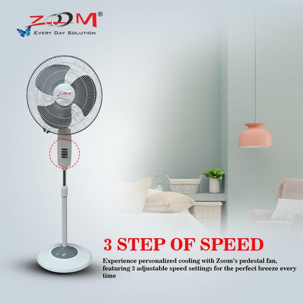 Pedestal Fan