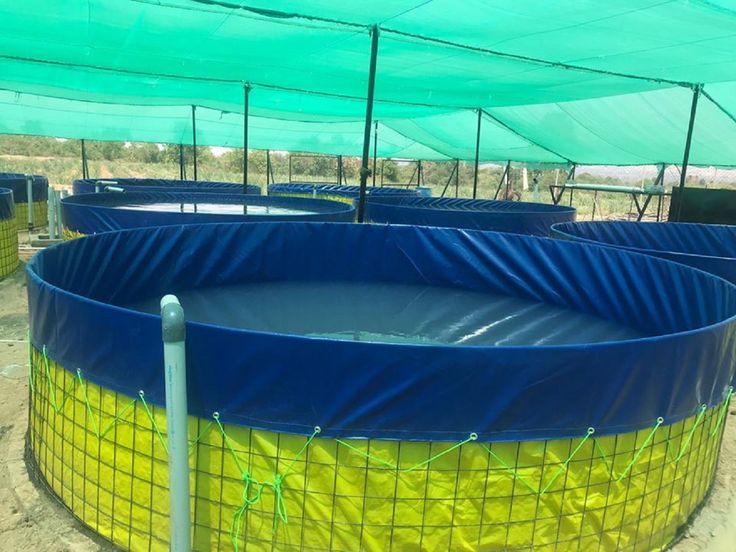 Biofloc Fish Farming Tank 2 diameter 950 GSM (2500 liter) 