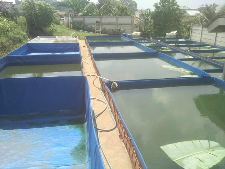 Biofloc Fish Farming Tank 2 diameter 1050 GSM (2500 liter)