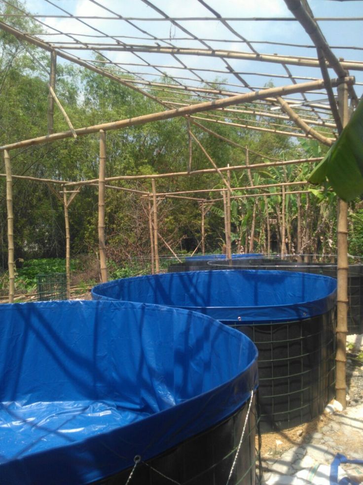 Biofloc Fish Farming Tank 2 Diameter 1150 Gsm (2500 Liter) - Color: Blue