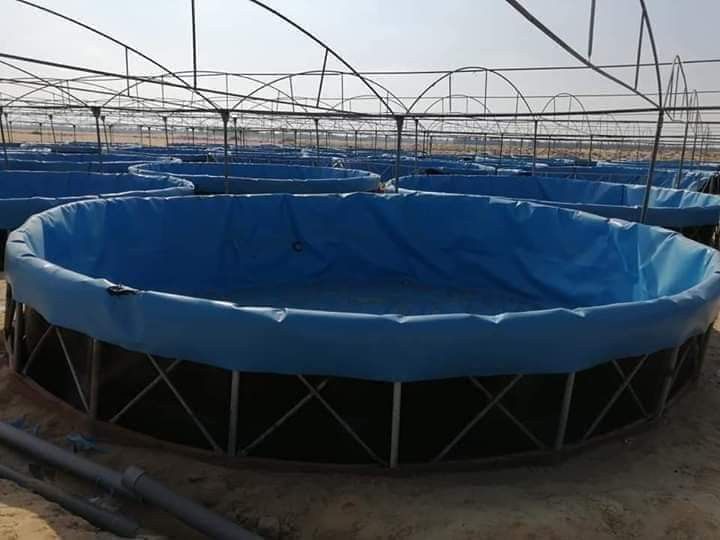 Biofloc Fish Farming Tank 2 diamwter 1350 GSM (2500 liter)