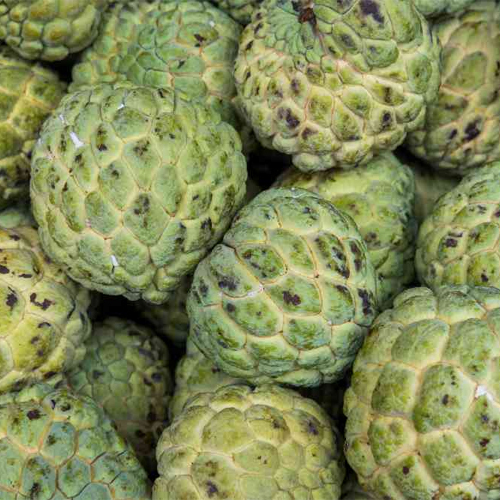 Fresh Custard Apple - Organic, Green Color, Natural Shape | Delightfully Sweet, Creamy Texture, Versatile For Raw And Desserts