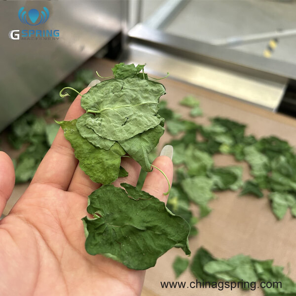 Microwave Dryer for Herbs & Pharma Industry