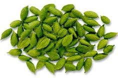 इलायची