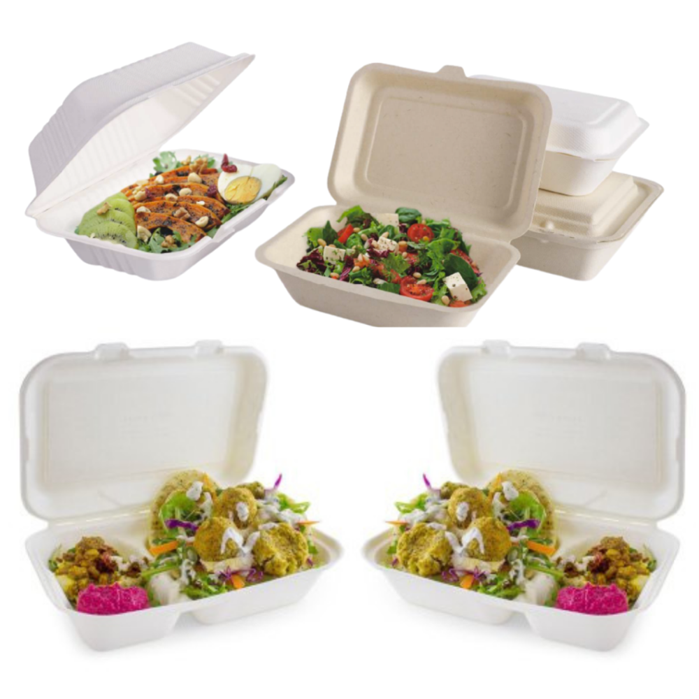 10x6 2CP Disposable Clamshell
