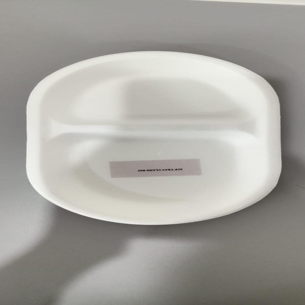 Disposable 2CP Tray