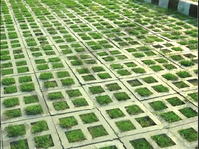 Grass Paver Block - Material: Concrete