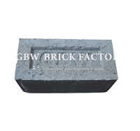Ash Bricks - Color: Gray