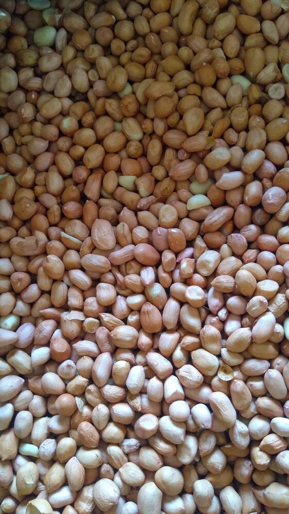 5 Litre Groundnut Oil