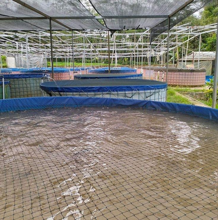 Biofloc Fish Farming Tank 3 diameter 1050 GSM ( 5625 liter )