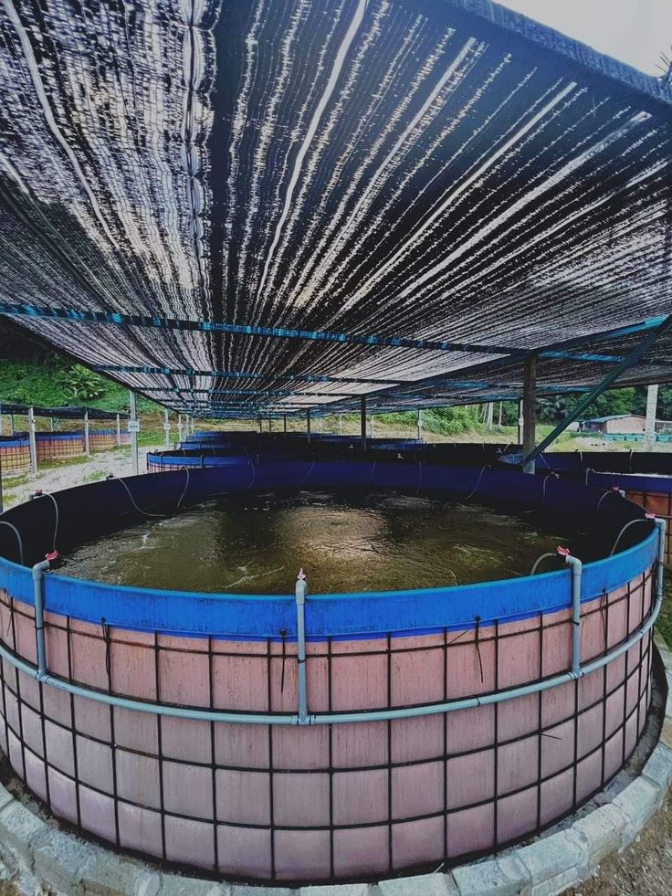 Biofloc Fish Farming Tank 3 Diameter 1250 Gsm (5625 Liter) - Color: Blue