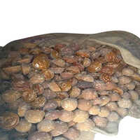 Organic Palm Jaggery