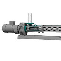 Mild Steel Molasses Transfer Pump - Fuel Tank Capacity: 500 Cubic Meter/hr Cubic Inches  (in3)