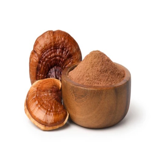 Ganoderma Extract 10%