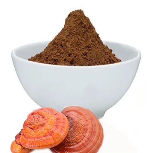 Ganoderma Extract 10%
