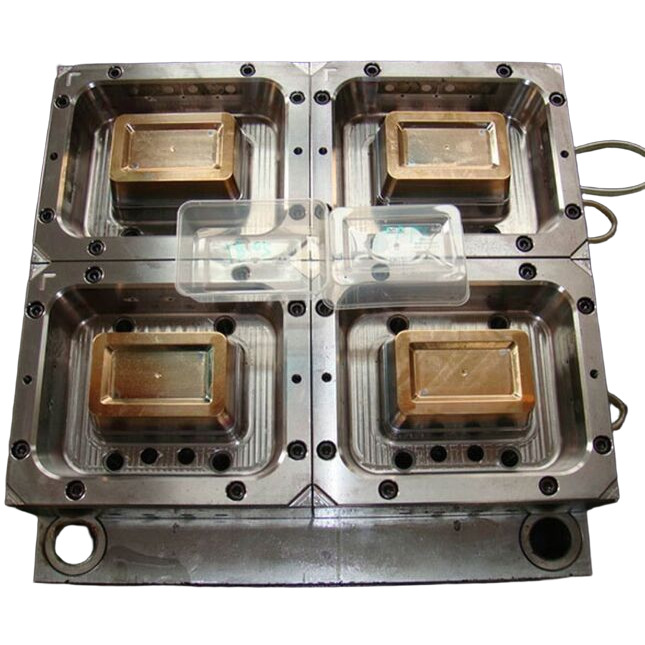 Plastic Food Container Mould - Color: Silver
