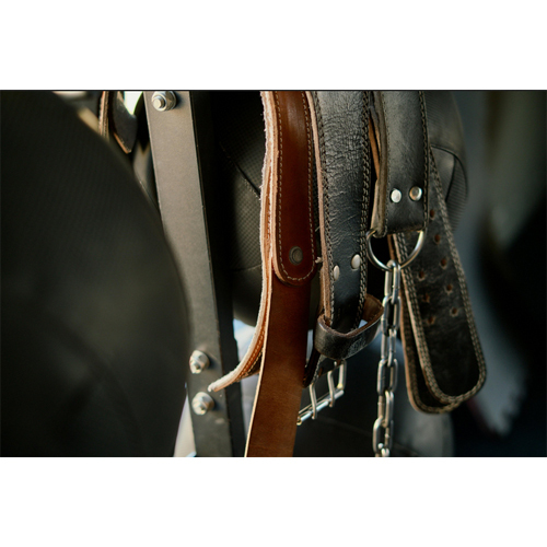 Classic Leather Belt