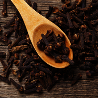 Fresh Clove