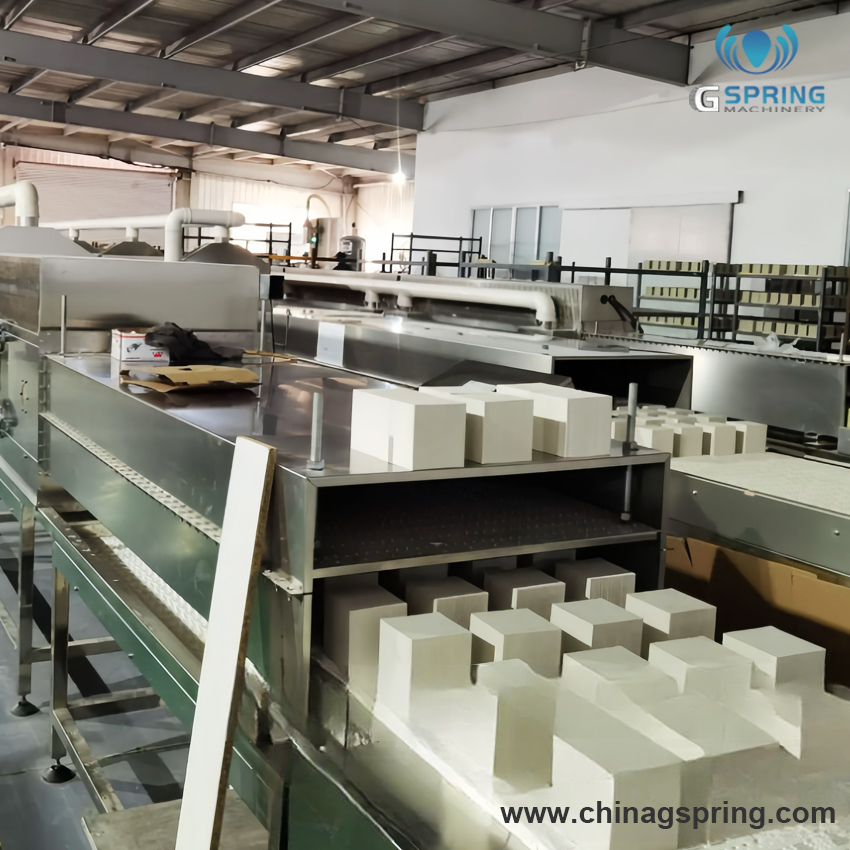 Microwave Dryer for Coal & Construction Material Industry