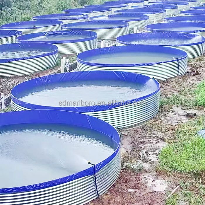 Biofloc Fish Farming Tank 4 diameter 1150 GSM (10000 liter)