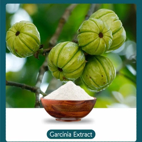 Garcenia Extract 60% (SOLUBLE - DOUBLE SALT)