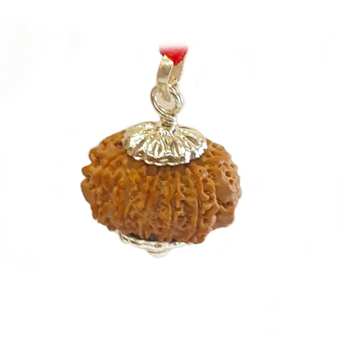 11 Mukhi Rudraksha Beads