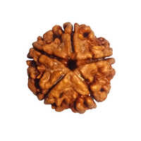 5 Mukhi Rudraksha - Natural Rudraksha Material, Various Sizes, Multiple Colors | Durable, Robust, Versatile For Industrial And Spiritual Use