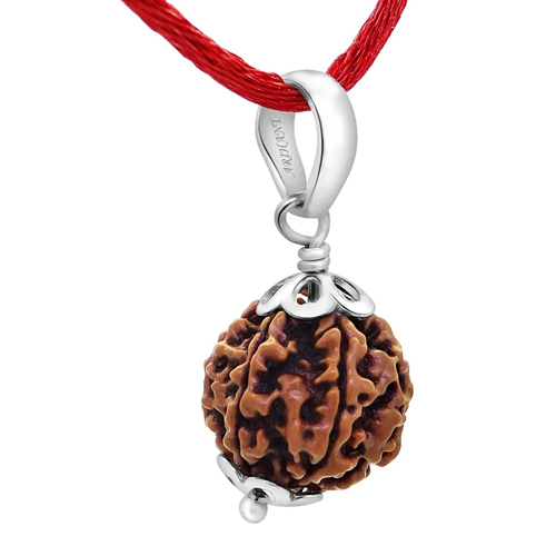 6 Mukhi Rudraksha - Color: Brown