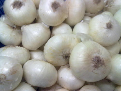 सफेद प्याज