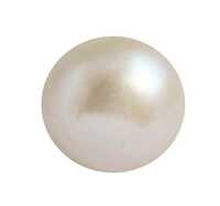 Pearl Beads - Color: White