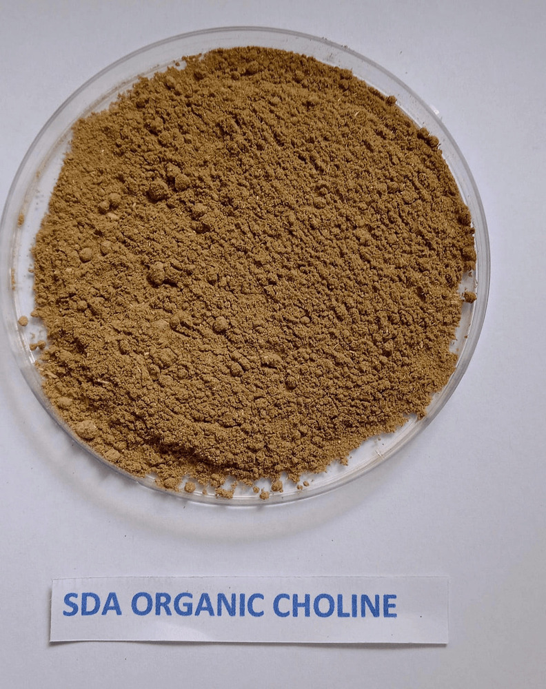 SDA ORGANIC CHJOLINE POWDER