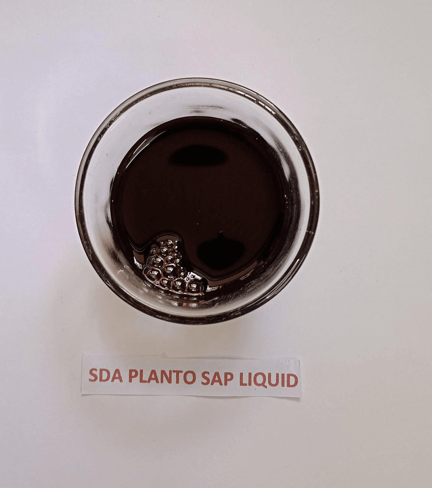 SDA PLANTO SAP LIQUID