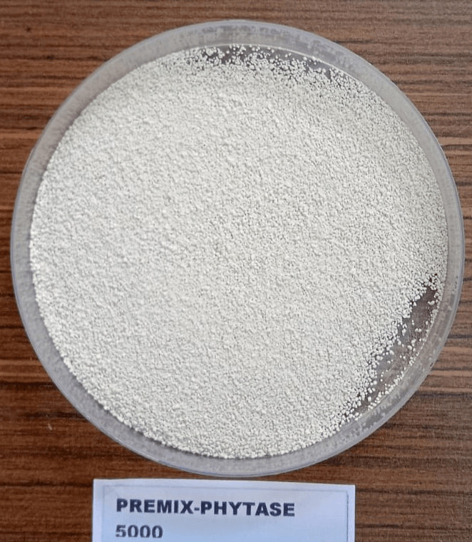 PREMIX-PHYTASE 5000 एक उच्च गुणवत्ता वाला जैविक उत्पाद है जो पशु आहार की गुणवत्ता में सुधार और फास्फोरस की उपलब्धता बढ़ाने के लिए बनाया गया है। यह उत्पाद विशेष रूप से पोल्ट्री, सुअर और अन्य पालतू जानवरों के लिए समर्थित है।