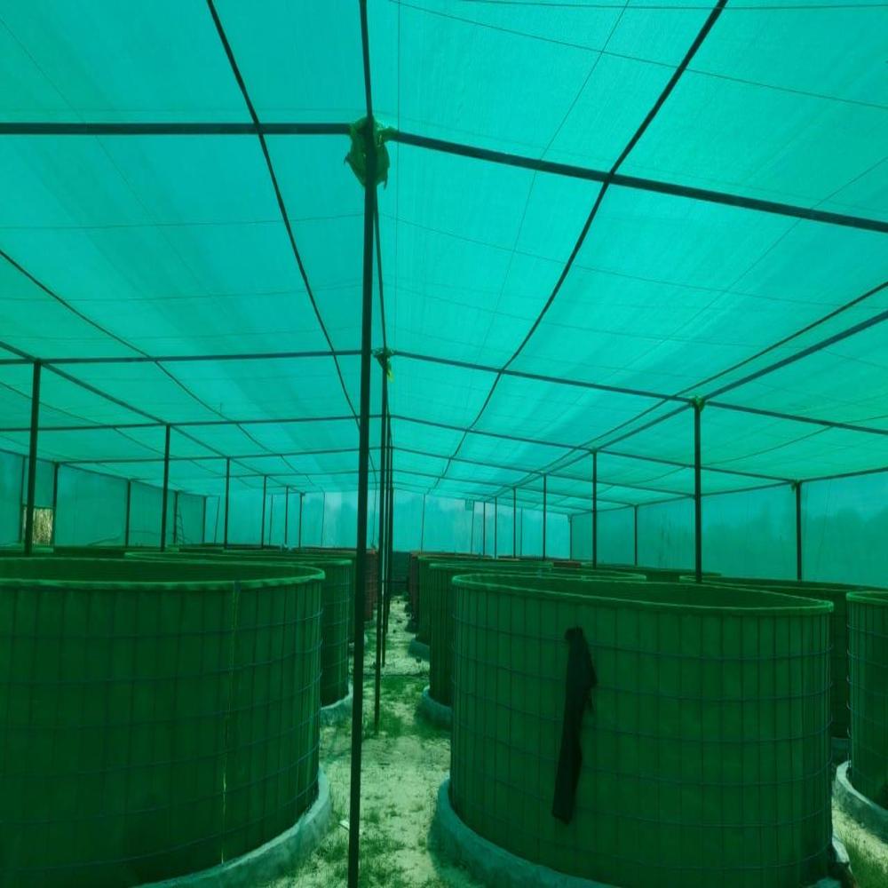 Biofloc Fish Farming Tank 5 Diameter 950Gsm (15625 Liter ) - Color: Green