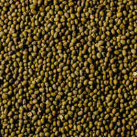 Whole Moong Dal