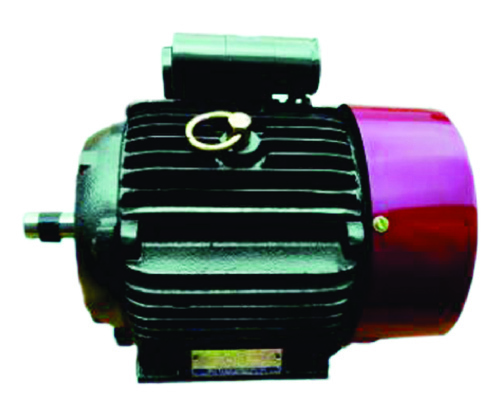 Induction Motor - Color: Green