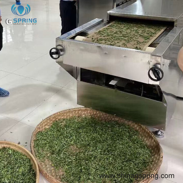 Industrial Microwave Green Tea Drying Fixation Machine - Color: Silver
