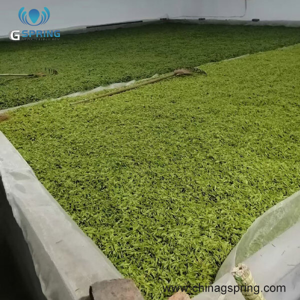 Industrial Microwave Green Tea Drying Fixation Machine - Color: Silver