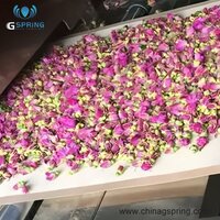 Tunnel Microwave Flower Tea Drying Sterilizing Machine