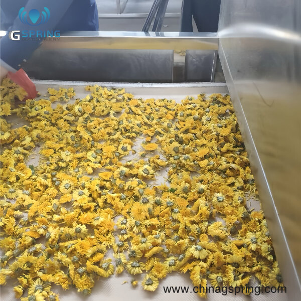 Tunnel Microwave Flower Tea Drying Sterilizing Machine
