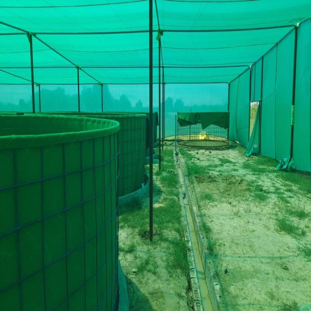Biofloc Fish Farming Tank 7 diameter 650 GSM (30625 liter)