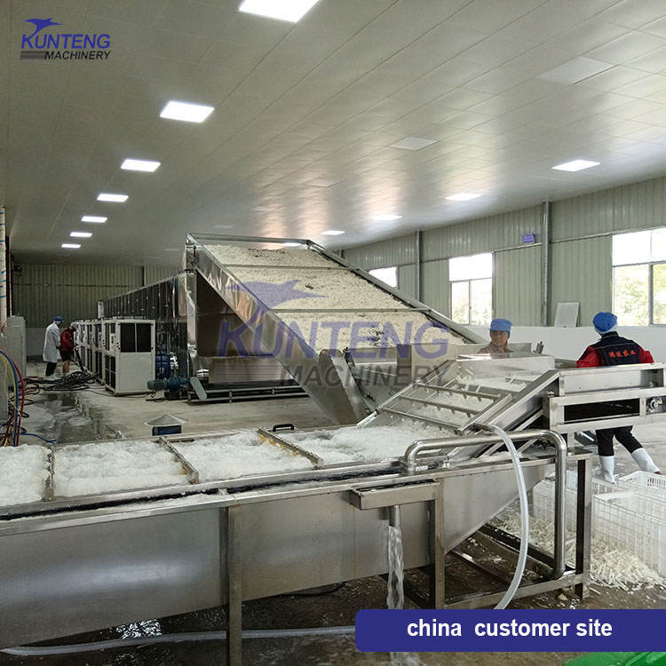 Dehydrated Onion Machine Production Line