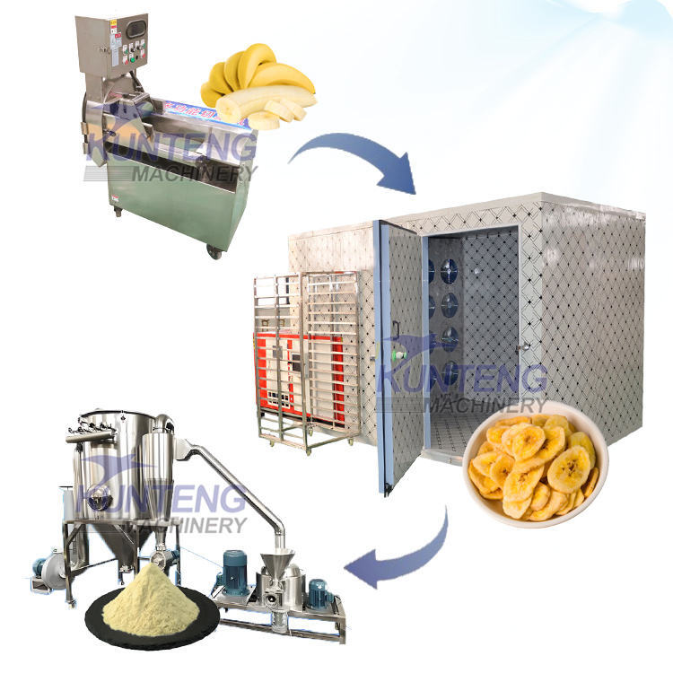 Fruit Drying Equipment