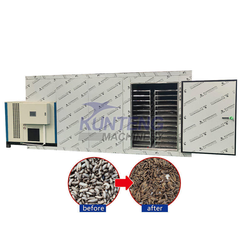 Oven Maggots Drying Machine