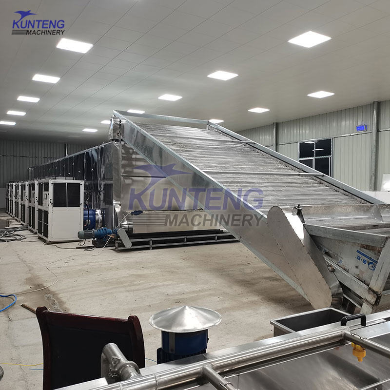 4 Layers Mesh Belt Potato Chips Cassava Dryer