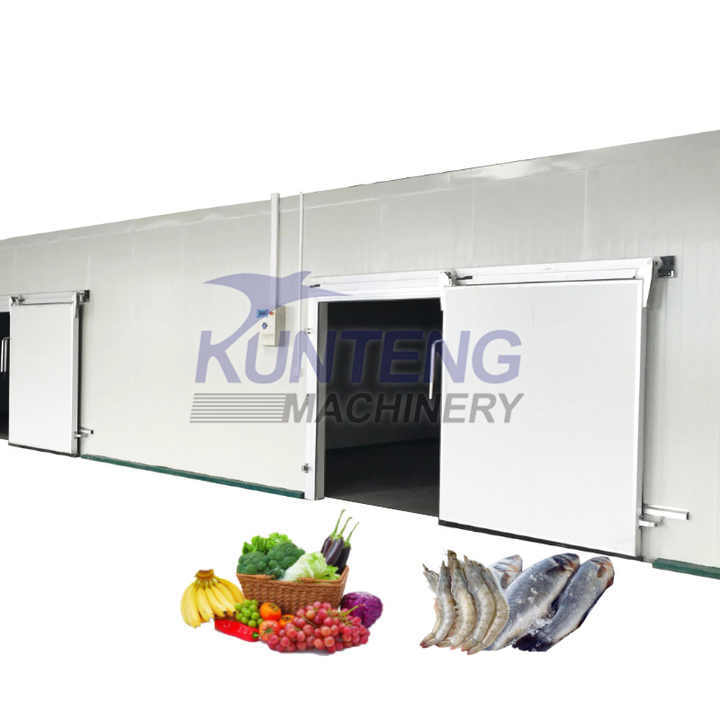 Commercial 100 Ton Cold Storage Room