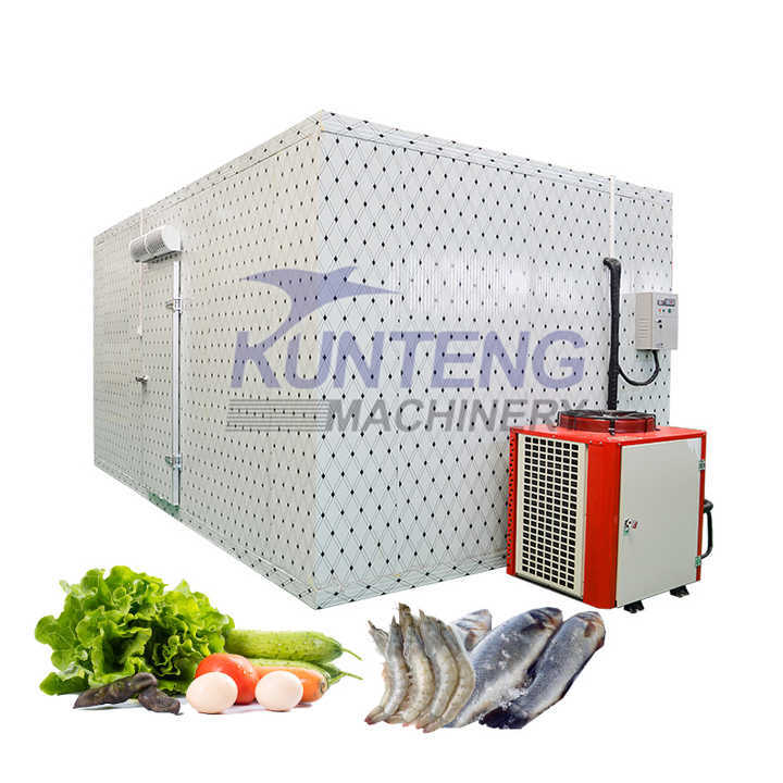 Prefabricated Frozen Cold Room