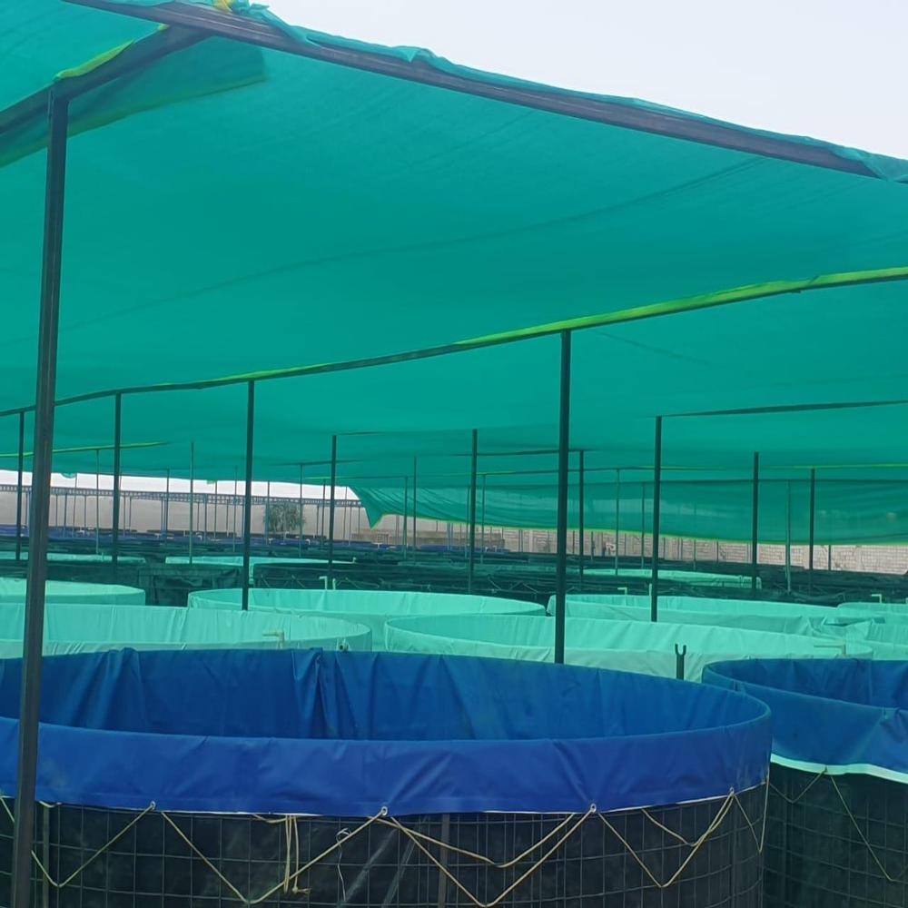 Biofloc Fish Farming Tank 7 Diameter 1150 Gsm (3065 Litre) - Color: Green