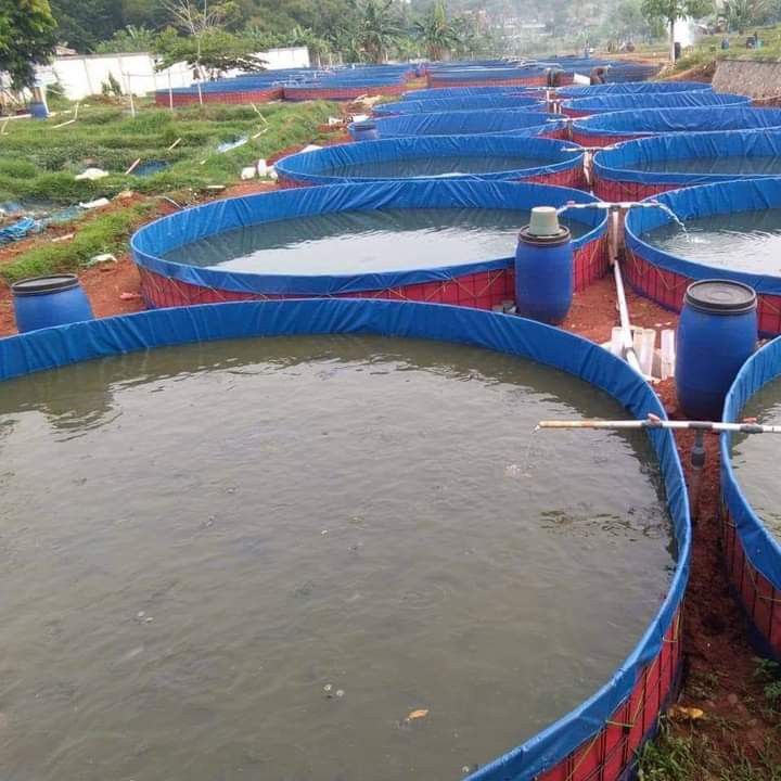 Biofloc Fish Farming Tank 9 Diameter 450 Gsm (50626 Litre) - Color: Blue